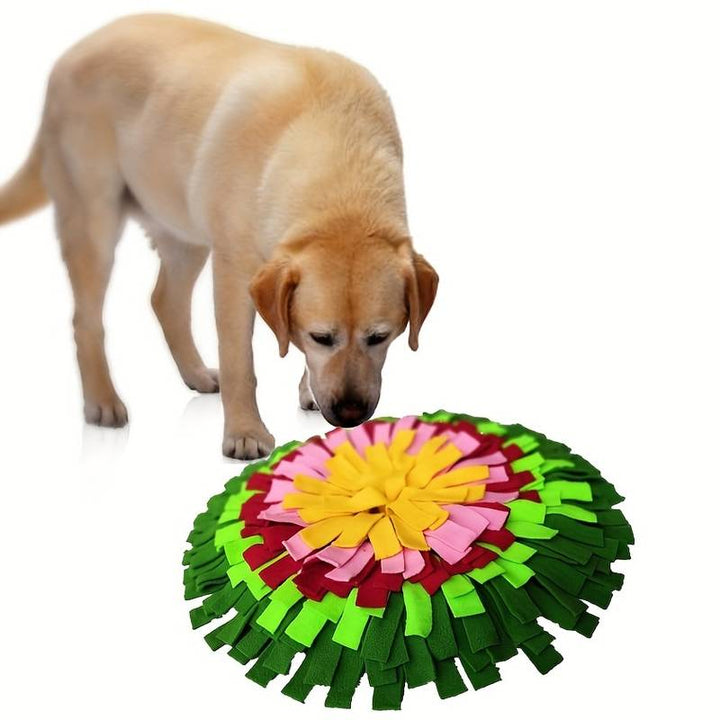 Pet Interactive Feeder Dog Interactive Feeder Snuffle Mat For Treats - The  Pet Beastro